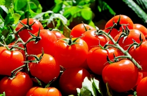 El coronavirus, el tomate, y la importancia de la agricultura